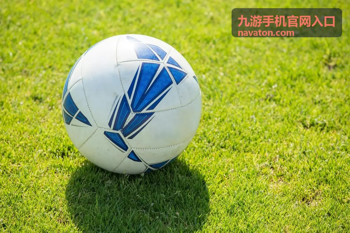 九游手机官网入口登录状态与账号信息核对