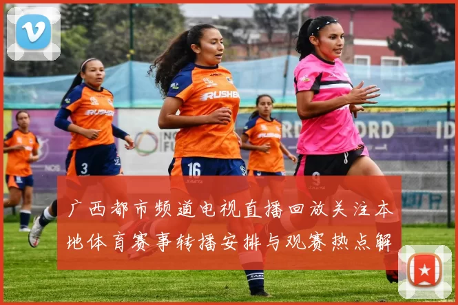 广西都市频道电视直播回放关注本地体育赛事转播安排与观赛热点解析