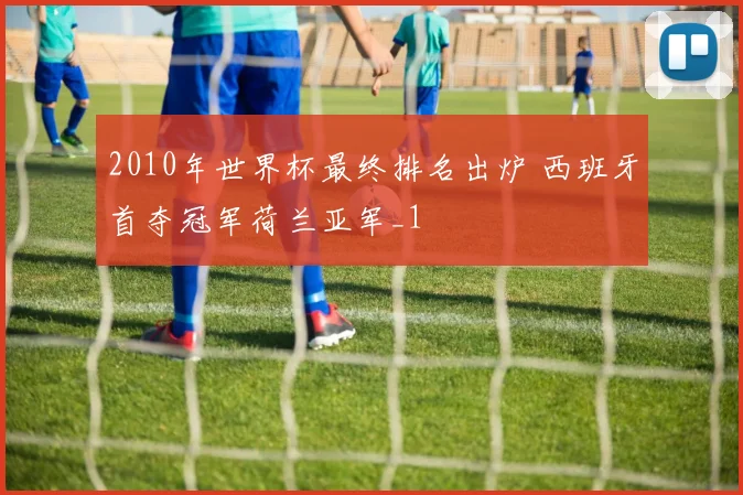 2010年世界杯最终排名出炉 西班牙首夺冠军荷兰亚军_1