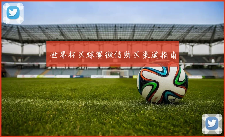 世界杯买球赛微信购买渠道指南